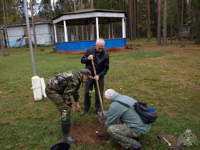 В Кировской области ветераны Росгвардии приняли участие во всероссийской акции «Лес Победы»