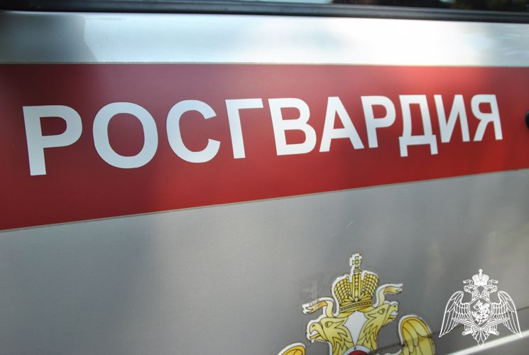 В Кирове росгвардейцы задержали гражданку, находящуюся в розыске