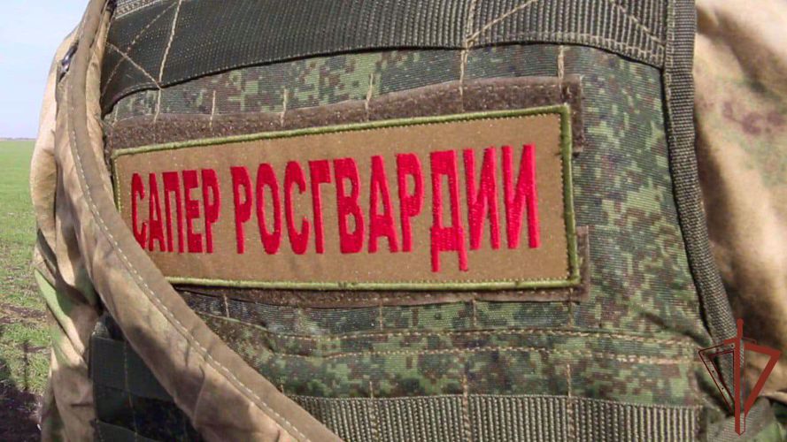 Росгвардейцы за неделю уничтожили более 200 взрывоопасных предметов, склады и боевую технику противника в Херсонской и Запорожской областях