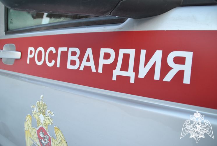 В Кирове росгвардейцы задержали двух подозреваемых в одном магазине