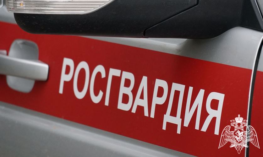 В Кирове росгвардейцы задержали гражданку, подозреваемую в хищении спиртного