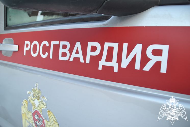 В Кирове росгвардейцы выявили водителя, подозреваемого в управлении транспортным средством в состоянии опьянения