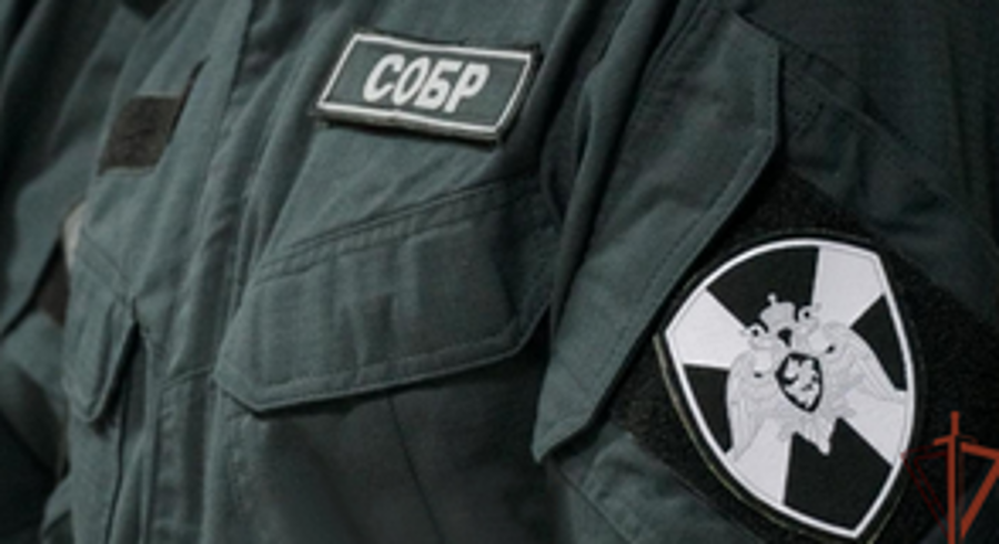 СОБР Росгвардии пресек деятельность черных риелторов в Кировской области