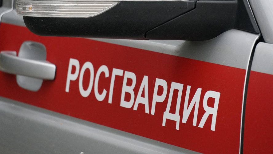 В Кирове росгвардейцы задержали двух девушек, подозреваемых в хулиганстве