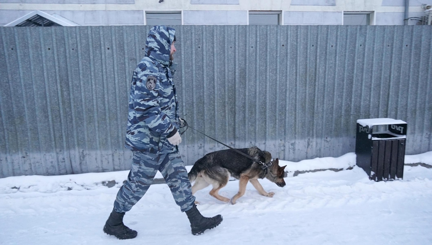 Росгвардейцы приняли участие в обеспечении безопасности Поезда Деда Мороза в Кирове (видео)