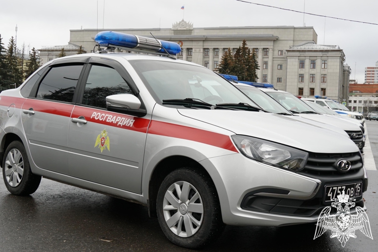 В Кирово-Чепецке росгвардейцы задержали подозреваемую в нанесении побоев сотруднице кафе