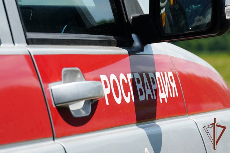 В Кирове росгвардейцы задержали подозреваемого в угоне и незаконном проникновении на охраняемую территорию