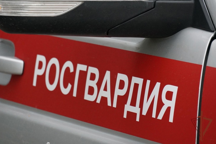 Кировские росгвардейцы задержали подозреваемых в краже спиртных напитков