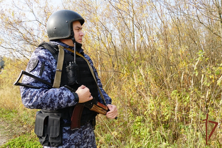 В Кирове росгвардейцы задержали подозреваемых в хулиганстве и нанесении побоев