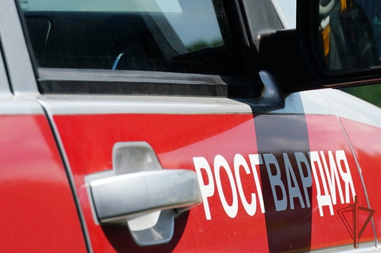 Cотрудники Росгвардии выявили водителя, подозреваемого в управлении транспортным средством в состоянии опьянения